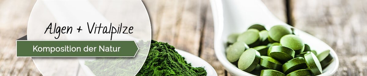 Algen und Vitalpilze eine Komposition der Natur