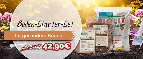 Boden Starter Set mit EM