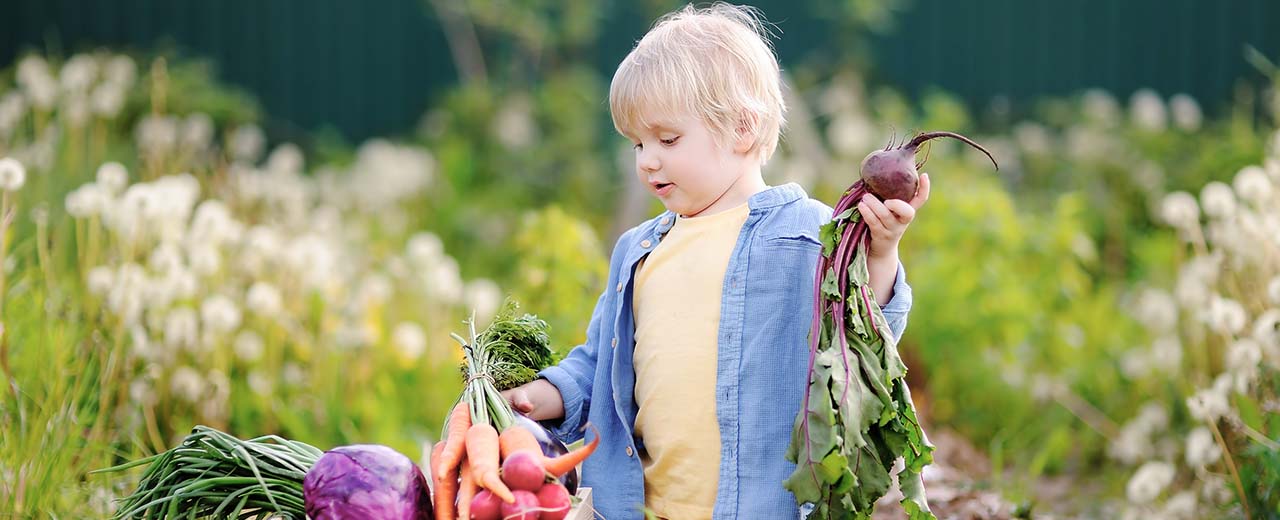 Pflanzen organisch düngen veganen BioDünger selbst herstellen und