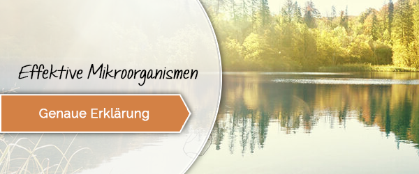 Effektive Mikroorganismen genaue Erklrung
