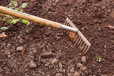 Organisch Vegan Düngen