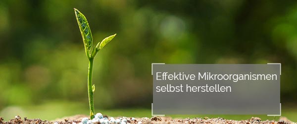Effektive Fachhandel Berlin
