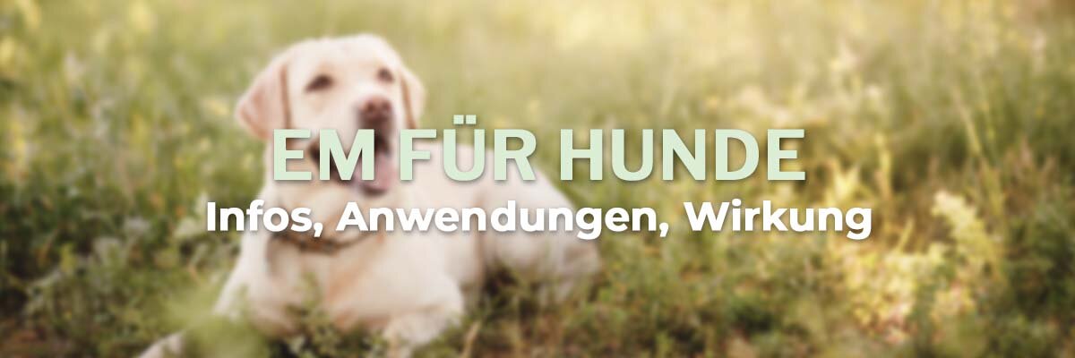   - Effektive Mikroorganismen (EM) für Hunde - Wirkung,  Anwendung, Infos