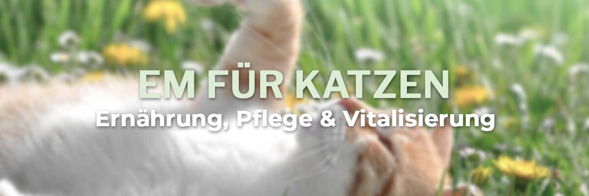   - Effektive Mikroorganismen für Katzen - Einsatz, Wirkung &amp; Anwendung