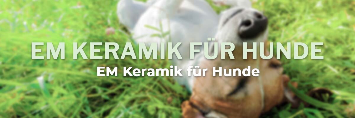   -  EM Keramik für Hunde - glänzendes Fell &amp; besseres Trinkwasser