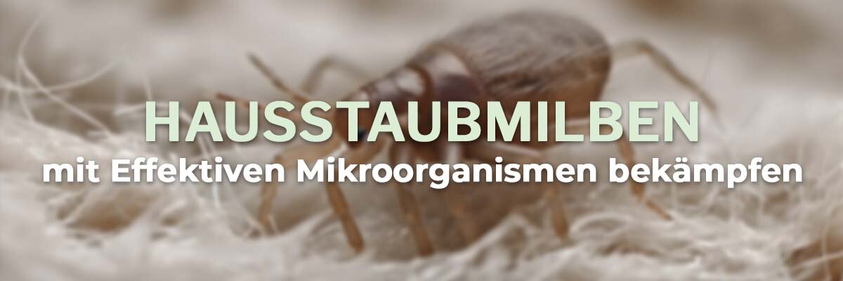   - Hausstaubmilben mit Effektiven Mikroorganismen bekämpfen