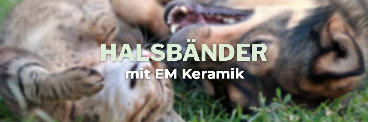   - Halsbänder mit EM Keramik Pipes