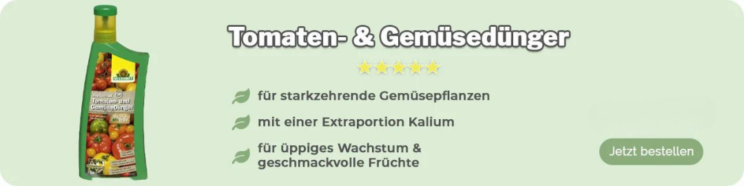 Tomaten wachsen zu schnell hoch EM Hilfe