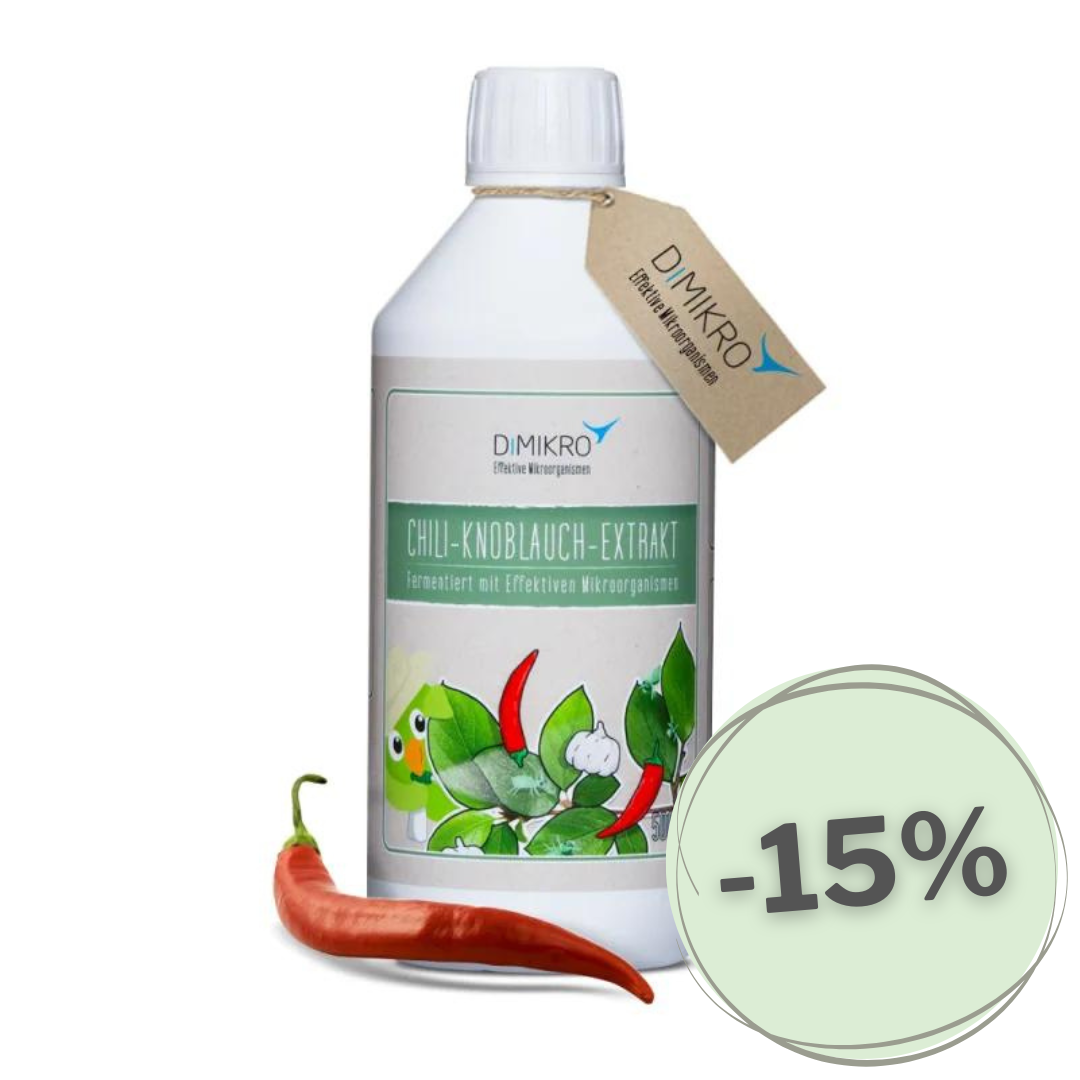 Chili-Knoblauch-Extrakt kaufen