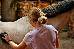 EM für Tiere dosieren