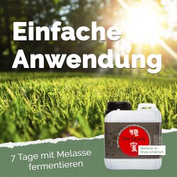 Ursprung - Effektive Mikroorganismen Urlösung 1 Liter