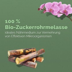 Bio-Melasse aus Zuckerrohr