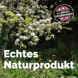 Ursprung - Effektive Mikroorganismen Urlösung