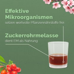 Ursprung - Effektive Mikroorganismen Urlösung