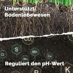 Biolit Urgesteinsmehl aus Diabas-Vulkangestein 6 kg