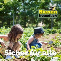 Bio-Reissirup - 1 Liter