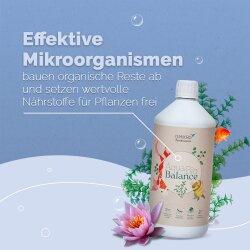 AquaBioBalance - Teich- und Fischpflege