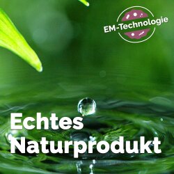 Teichdangos