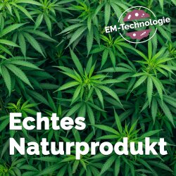 Hanfstreu für Trenntoilette 5 l