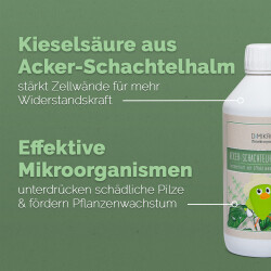 Acker-Schachtelhalm-Extrakt 500 Milliliter