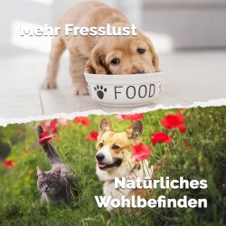 Mikrobiota Pets in Bio-Qualität 450 g