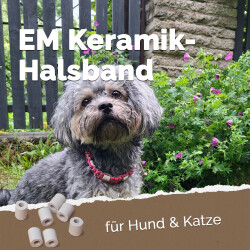 EM Keramik-Halsband Modell "Nellie" - verstellbar - grün-apfelsine 55-65 cm