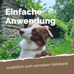 EM Keramik-Halsband Modell "Noel" - verstellbar - grau-beige 45-55 cm