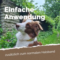 EM Keramik-Halsbänder - verstellbar - verschiedene Farben und Größen